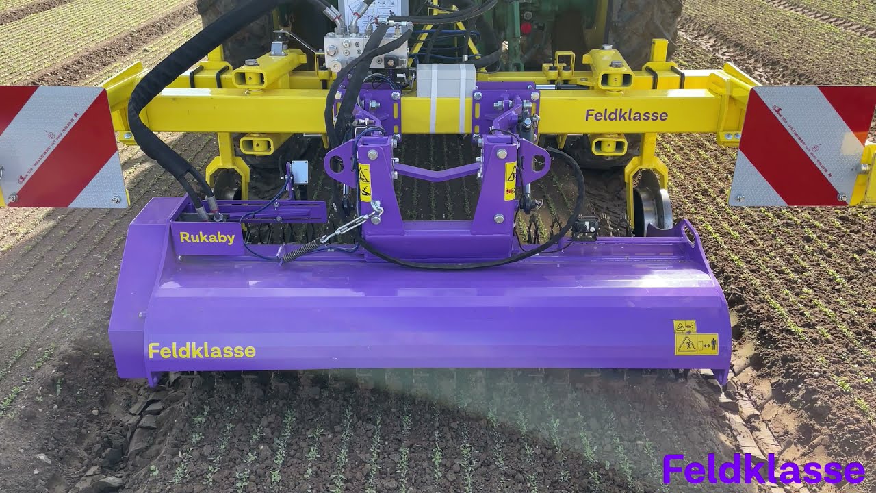 Mechanische Unkrautbekämpfung in Rucola mit der Rukaby