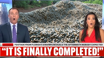 Footage From Florida’s Swamps Reveals the Aftermath Nobody Expected