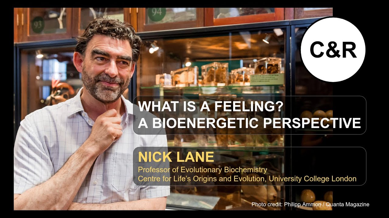 What Is A Feeling? A Bioenergetic Perspective - Nick Lane - C&R 11/13/2024