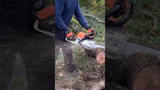 Stihl MS261 C chainsaw cutting ash #stihl #chainsaw #firewood #sawmill #logs