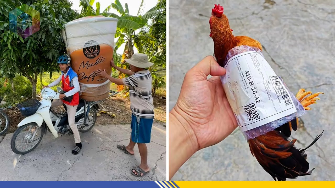 CƯỜI XỈU 7749 Pha Giao Hàng BÁ ĐẠO Của Các Anh Shipper Việt Nam - Top 1 Khám Phá