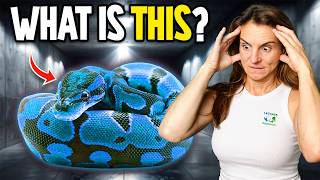 I Can't Believe We Hatched This Snake.. WHAT is IT?!?