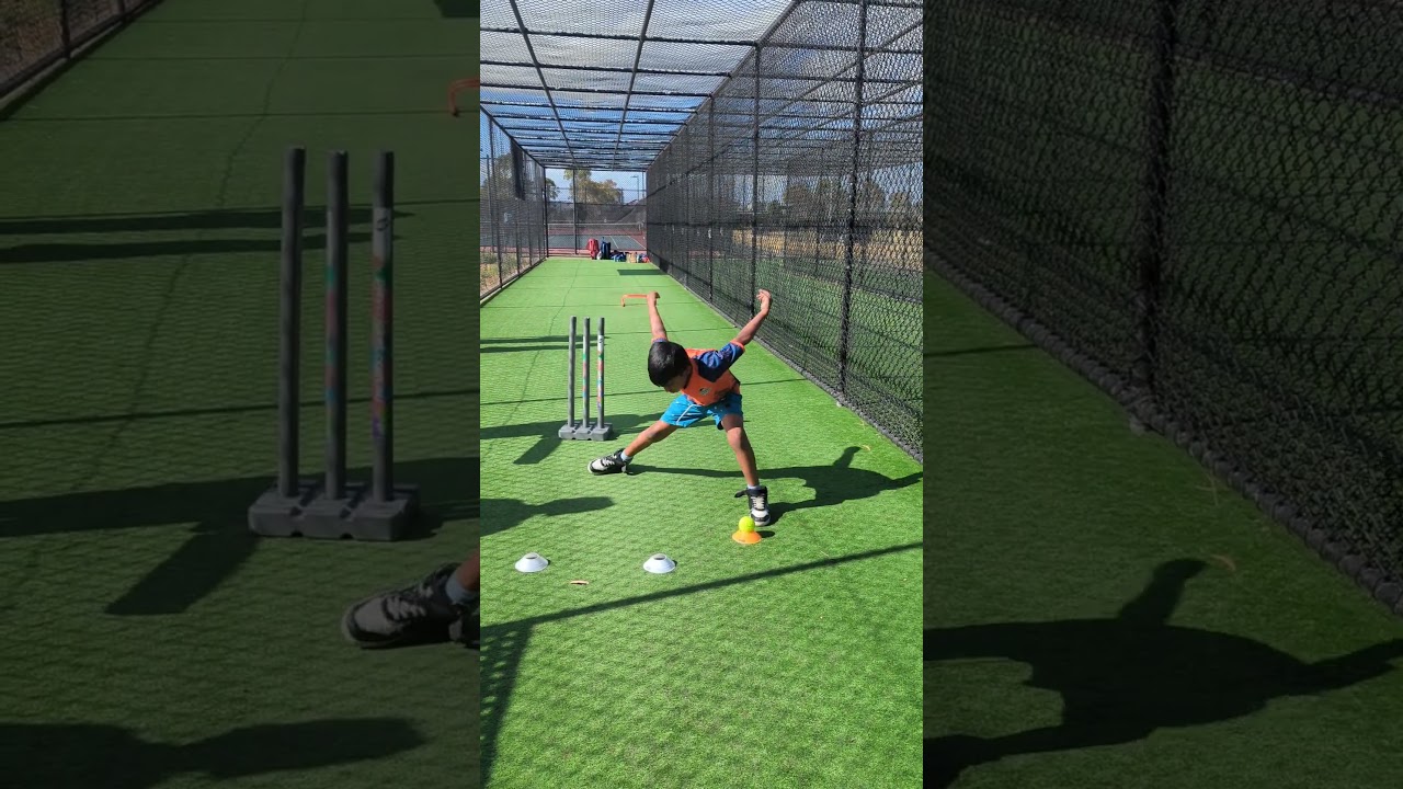 Cricket weight transfer training