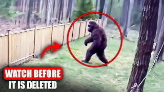 1 Hour Of The Most TERRIFYING Bigfoot Encounters Caught On Camera