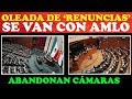 'RENUNCIAN' DIPUTADOS Y SENADORES PARA TRABAJAR CON AMLO