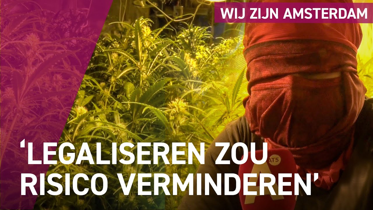 Hoe is het om wiet te telen met het achterdeurbeleid?