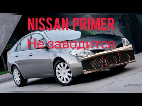 Nissan Primera  2005 ДОЛГО НЕ МОГЛИ ЗАПУСТИТЬ