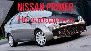 : Nissan Primera  2005    