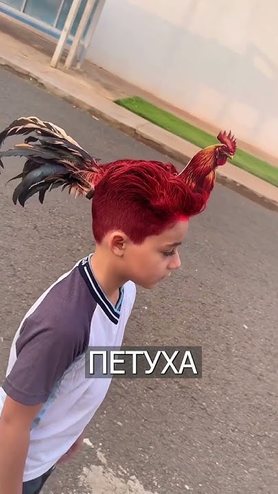 Прическа петухов