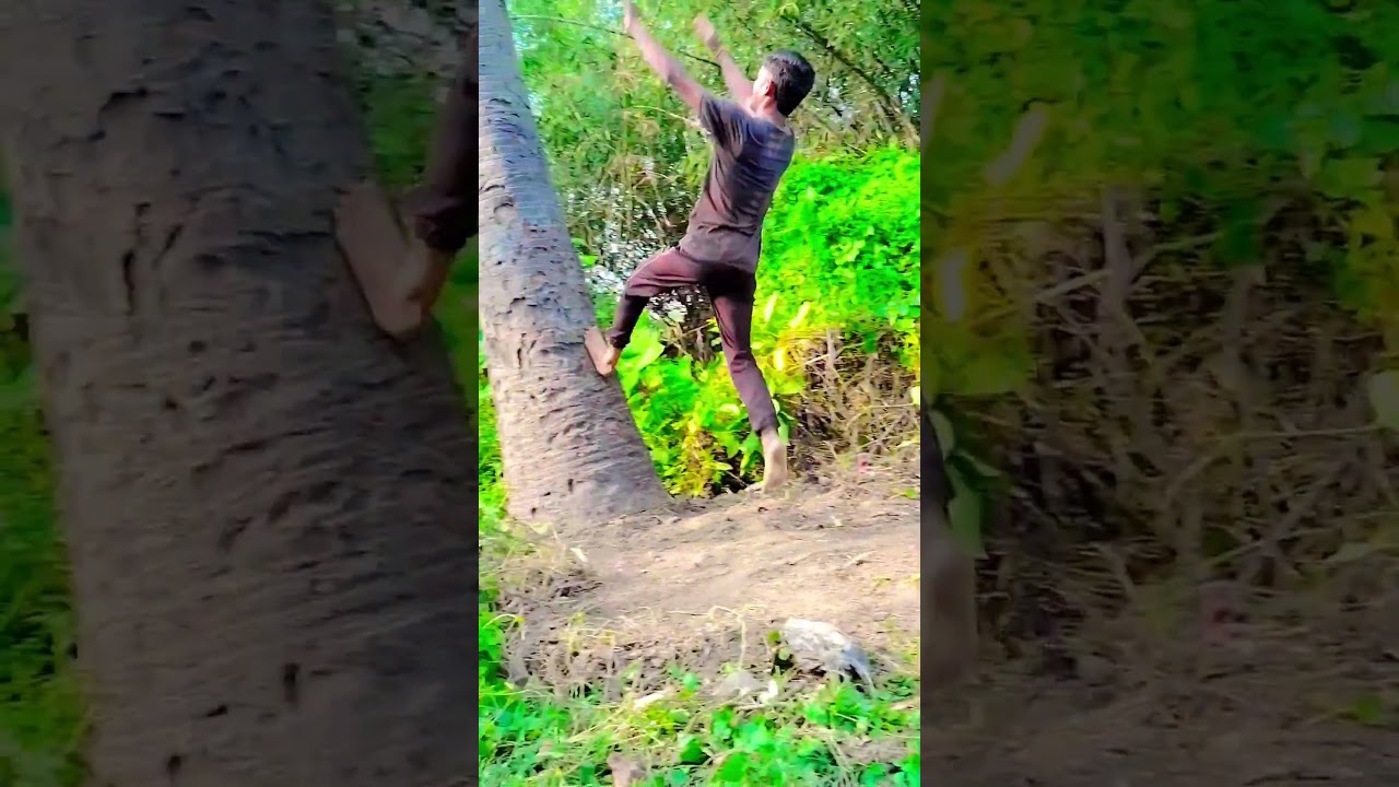 Wall Flip/Tree Flip Tutorial How to learn wallflip 