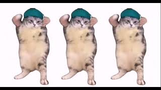 Cat Dance The Song Girlfriend Credits To