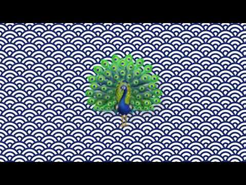 3 تايب بيت تراب شعبي