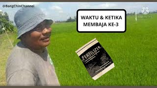 Padi | Waktu dan ketika membaja ke-3 |