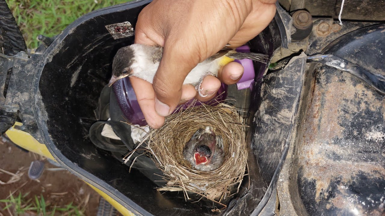 Sekian lama tidak ngebolang, akhirnya bisa ngebolang juga dan poin nya langsung wahh‼️