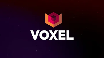 Qual o significado de voxel?