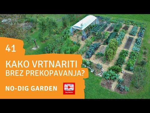 Video: Začetek vrta – odlični razlogi za začetek vrtnarjenja