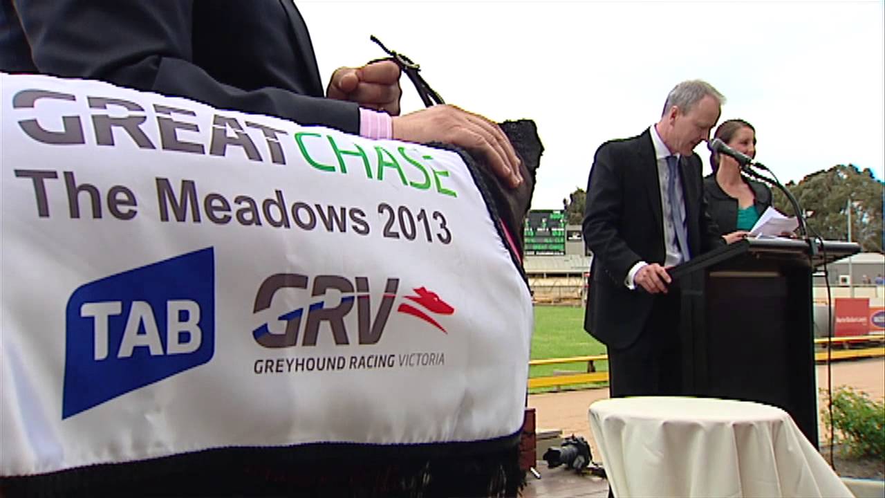 racing fever motor apk The 2014 TAB Great Chase Promo