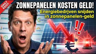 Zonnepanelen? Dat gaat je geld kosten...