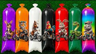 FIND: Snake, Elephant, Giraffe, Dog, Duck, Kangaroo, Horse, Hen, Rabbit, Rhino.