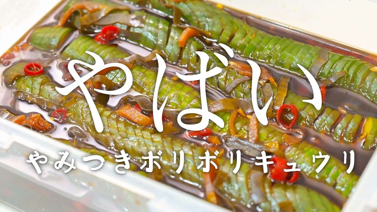 漬けると伸びる ”やばい” 無限やみつきボリボリキュウリ！！