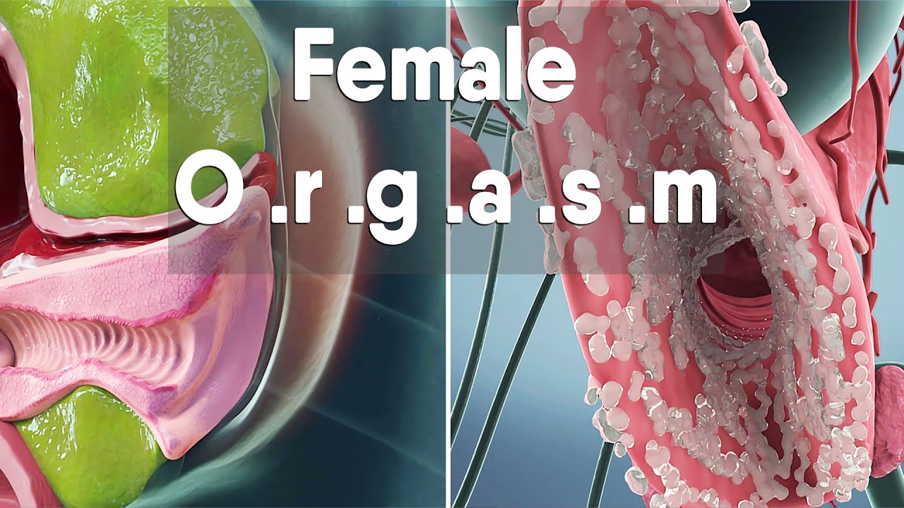 Do you know how orgasm is in females? female body and biology