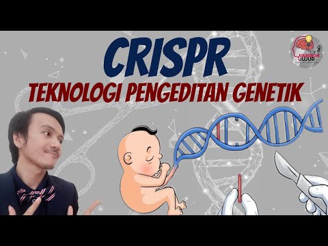 Video: Pengeditan Genom Yang Dipandu DNA Menggunakan Endonucleases Yang Dipandu Struktur