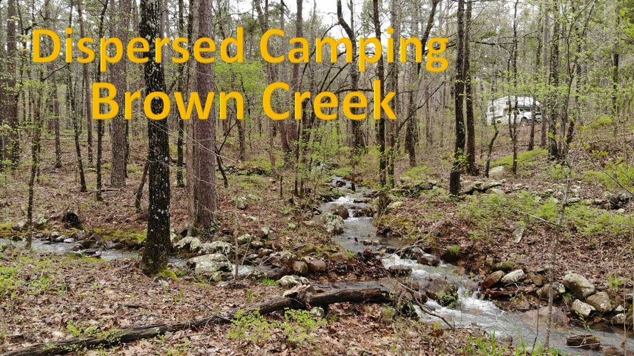 Brown Creek Dispersed Camping Camping Arkansas Boondocking
