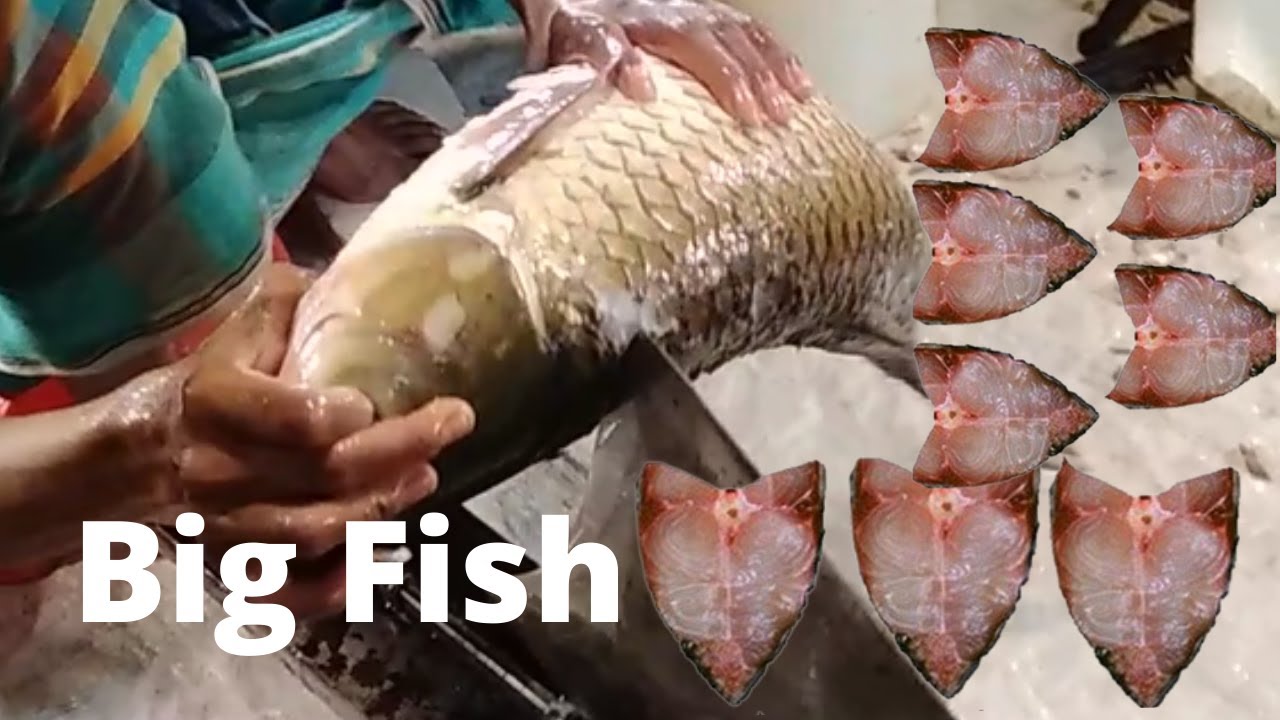 Smart Fish Cutting Fastest Big Rohu Fish Cuttung Skills in Bangladeshi Fish Market