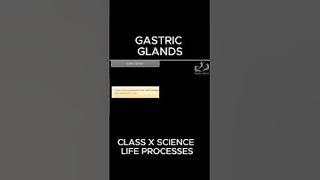 GASTRIC GLANDS #viral #biology