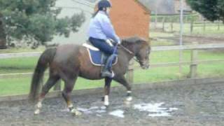 Rocky Flatwork 15.12.08