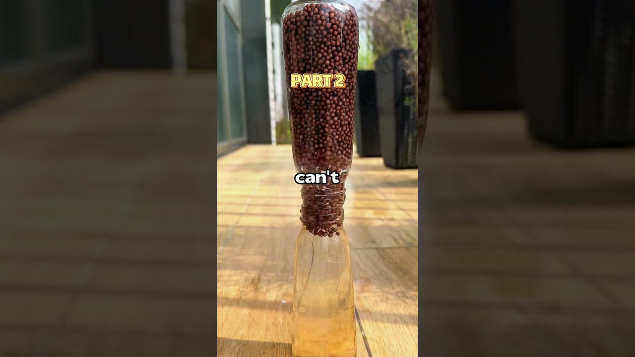 I CAN'T stop thinking about the time I POUNDED my friend in the car 