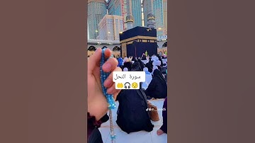 سورة النحل#القرآن_الكريم #ماهر_المعيقلي #القرآن #السعودية #pourtoi #explore #quran #المصحف #اكسبلور