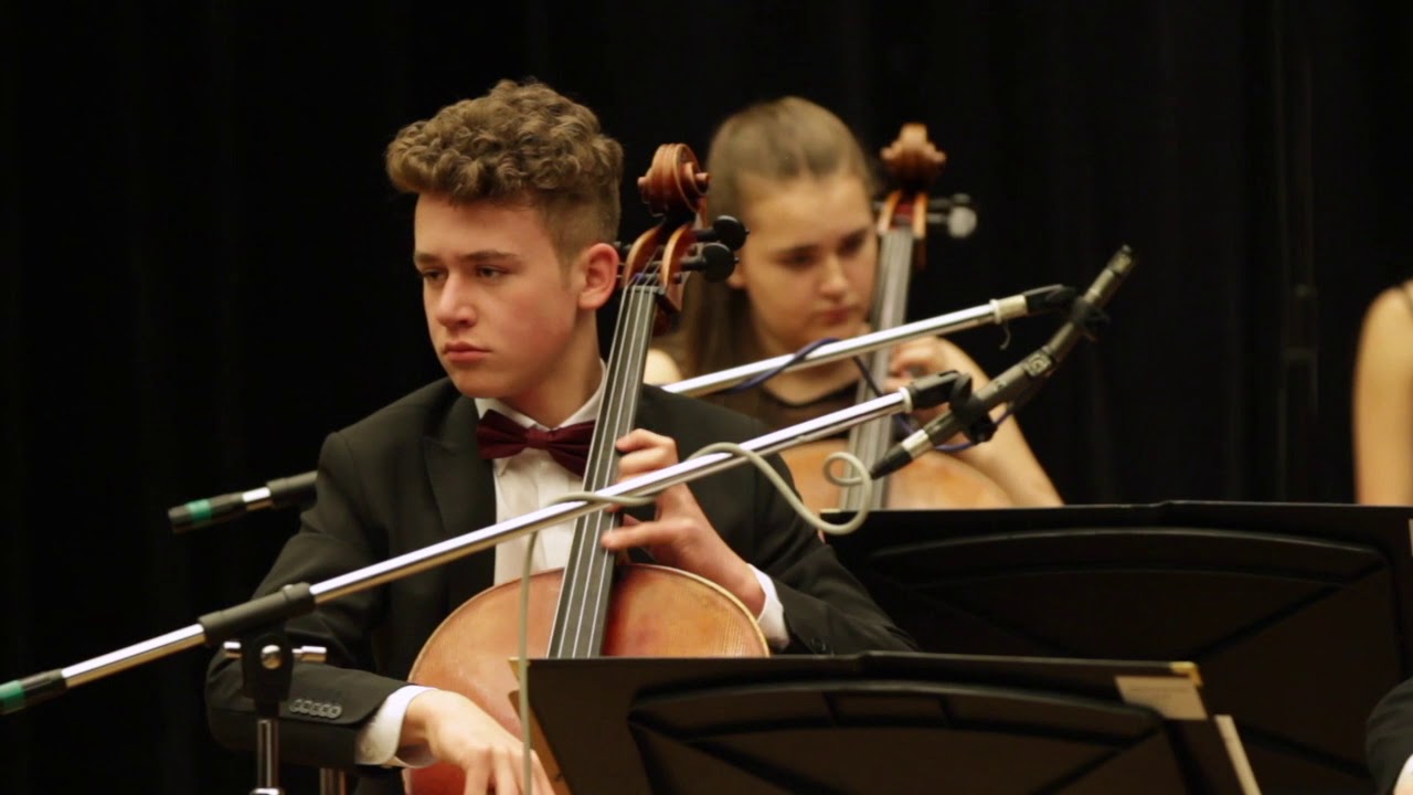 JuKO Karneval der Tiere - Schwan