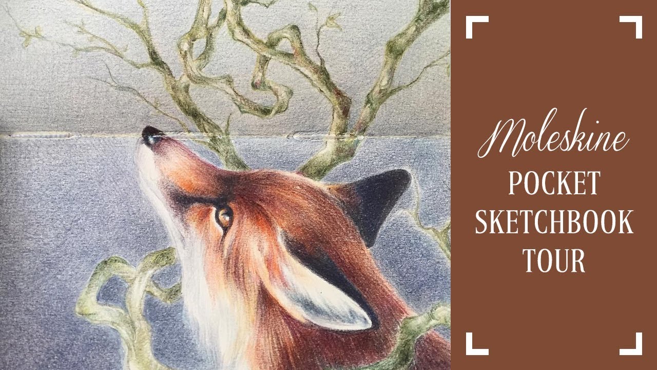 Moleskine Sketchbook Flipthrough YouTube