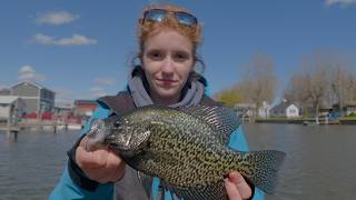 Searching for Spring Crappie in Long Point Bay