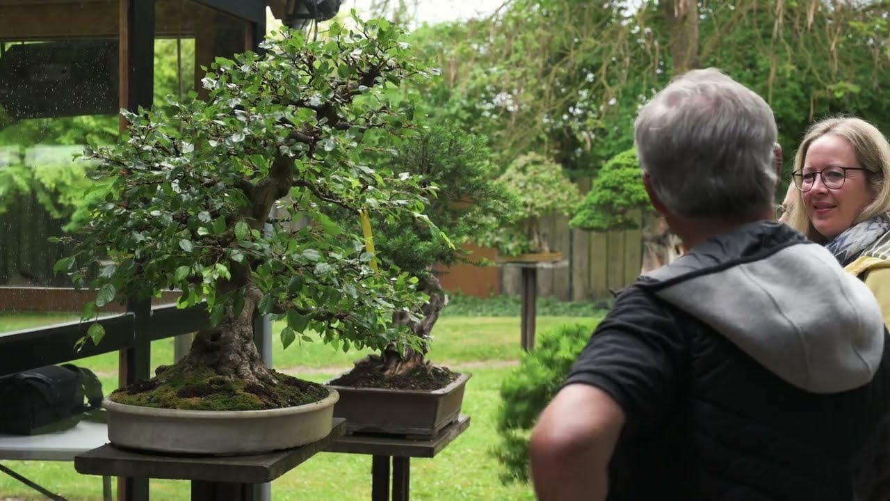 Bonsai Zentrum Heidelberg Spring Festiwal day 1.