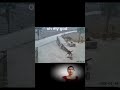 Videos about dogs #animal _025#animals#shorts
