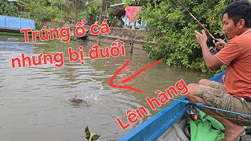 Bà cậu độ trúng ổ cá ngát chổ trạm CSGT, cá rút cần liên tục  | Săn bắt SÓC TRĂNG |