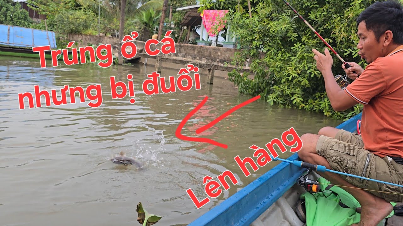 Bà cậu độ trúng ổ cá ngát chổ trạm CSGT, cá rút cần liên tục  | Săn bắt SÓC TRĂNG |