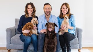 Pooches at Play - Series 1 Ep 4