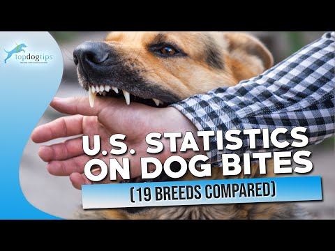 Video: Amerikanske statistikker om canine hjerteorms sygdom