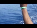 Kuşadası Tekne Turları Milli Park Yunus Balıkları Tekne Yarışı