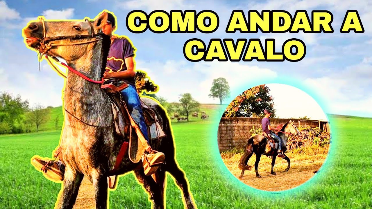 [PASSO A PASSO] Como andar de cavalo corretamente pela primeira vez ...