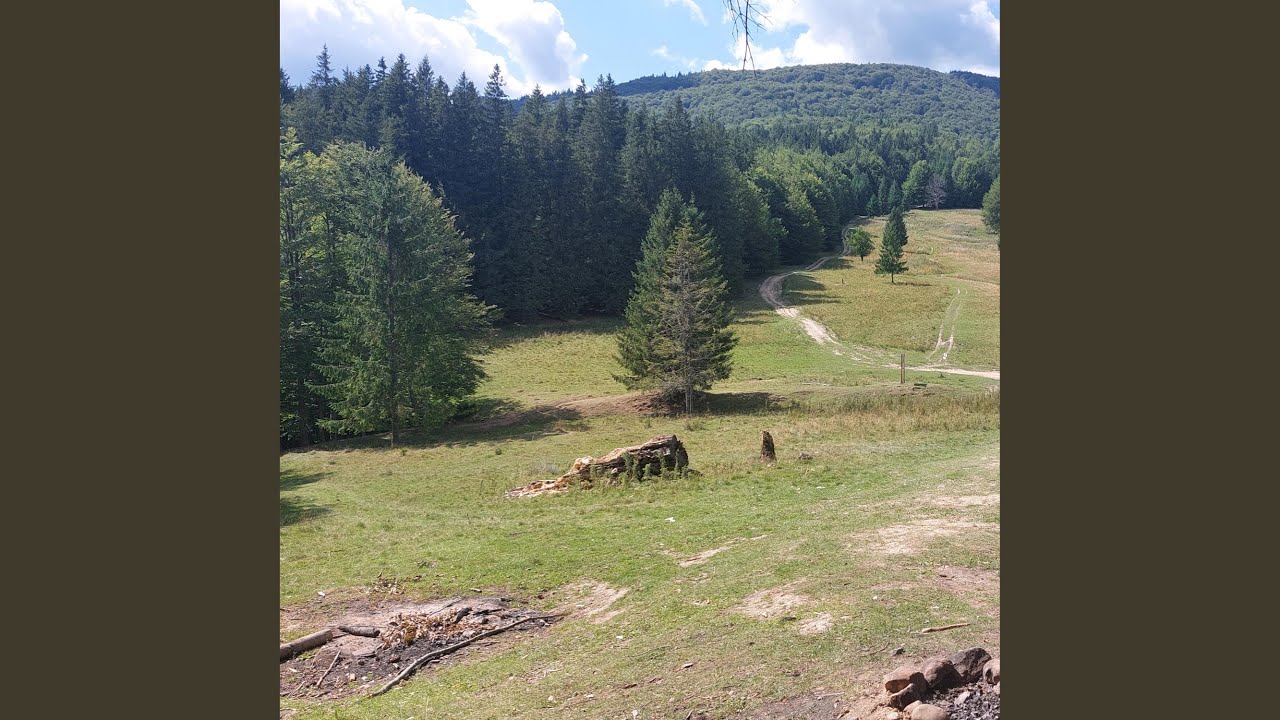 Suprasolicitare la birou