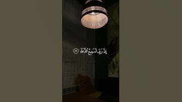 القرآن الكريم #اكسبلور #المصحف #relaxing #راحة_نفسية #الرحمن #quran #لايك #share #قرآن_كريم