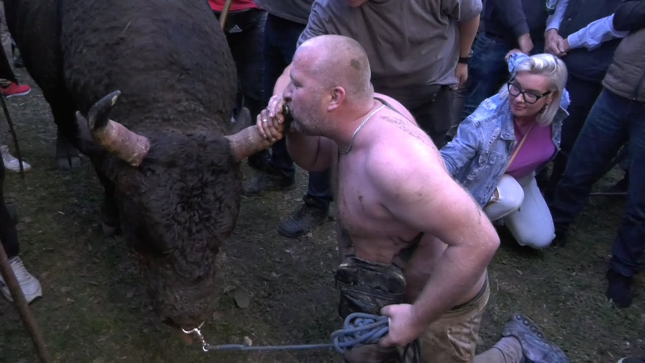 - ŽDRALONJA POBIJEDIO, ACO SE BACIO U POTOK I ODRŽAO VELIKI GOVOR