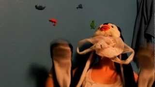 The Dangers Of Plastic Bags