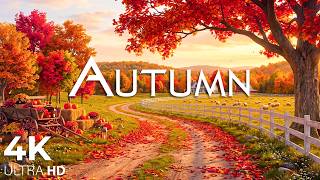 Peaceful Autumn Escape 🍂 Colorful Forest Scenery with Nature Sounds & Soft Piano Music screenshot 5