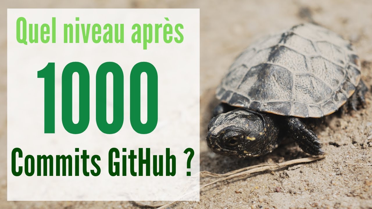 Quel niveau après 1000 commits Github ? - YouTube