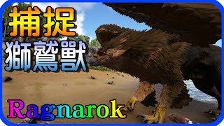 捕捉獅鷲獸ark Survival Evolved Ep 13 Dlc仙境傳說地圖 老頭 Youtube